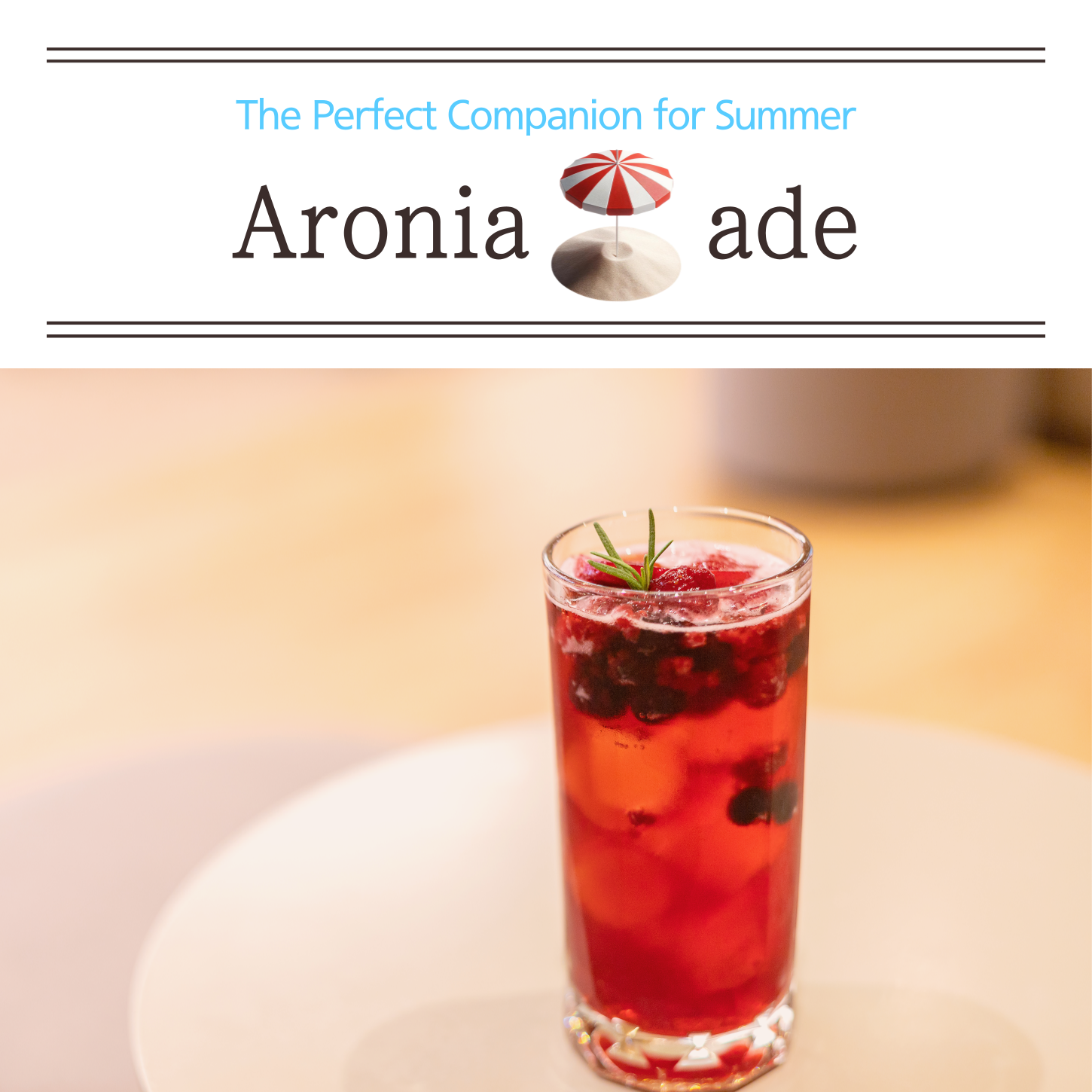 Pure Polish Aronia Juice Concentrate JustAronia65 Single Pack
