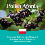 Load image into Gallery viewer, Pure Polish Aronia Juice Concentrate JustAronia65 Single Pack
